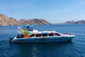 speedboat for a day tour to komodo island