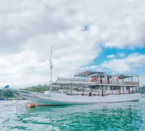 standard komodo boat tour