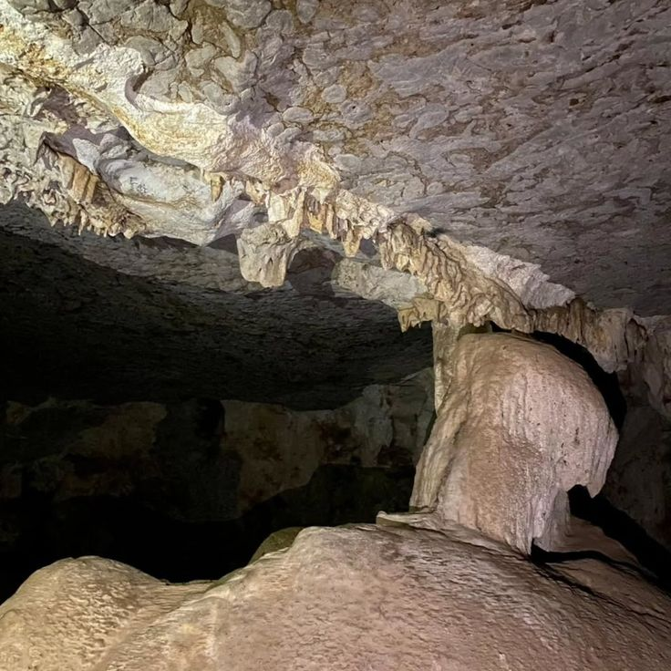 komodo flores hobbit cave