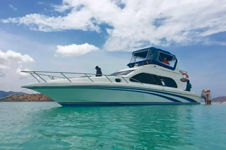 komodo tour from cruise ship