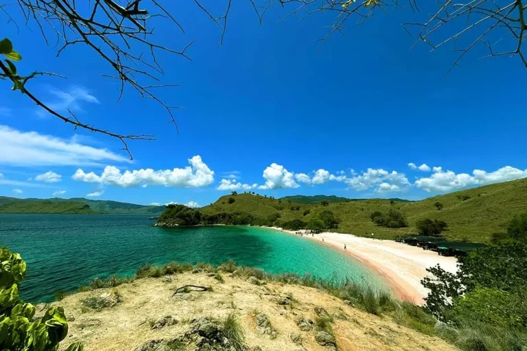 Pink Beach in Komodo Island