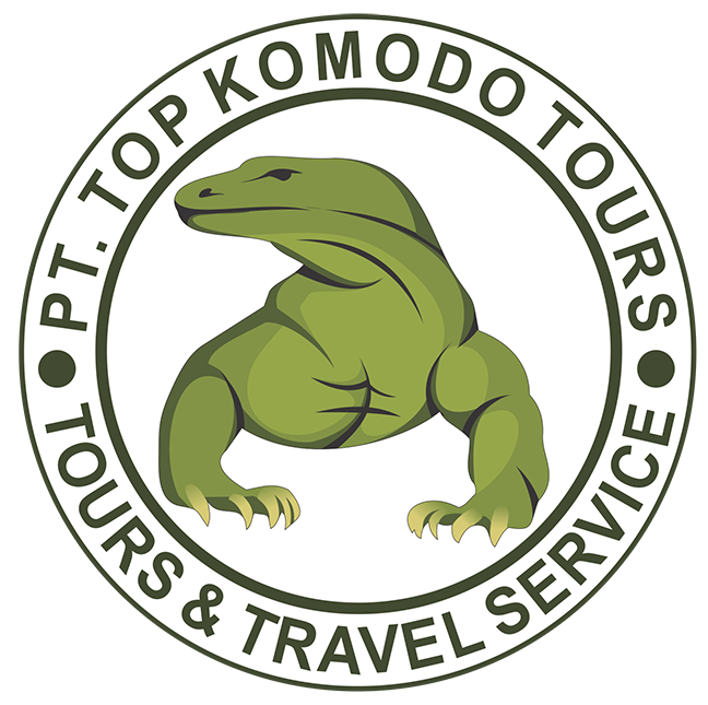 Top Komodo Tours