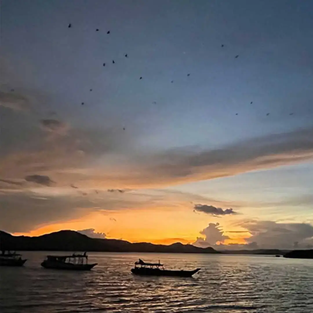 Kalong Island: Komodo National Park