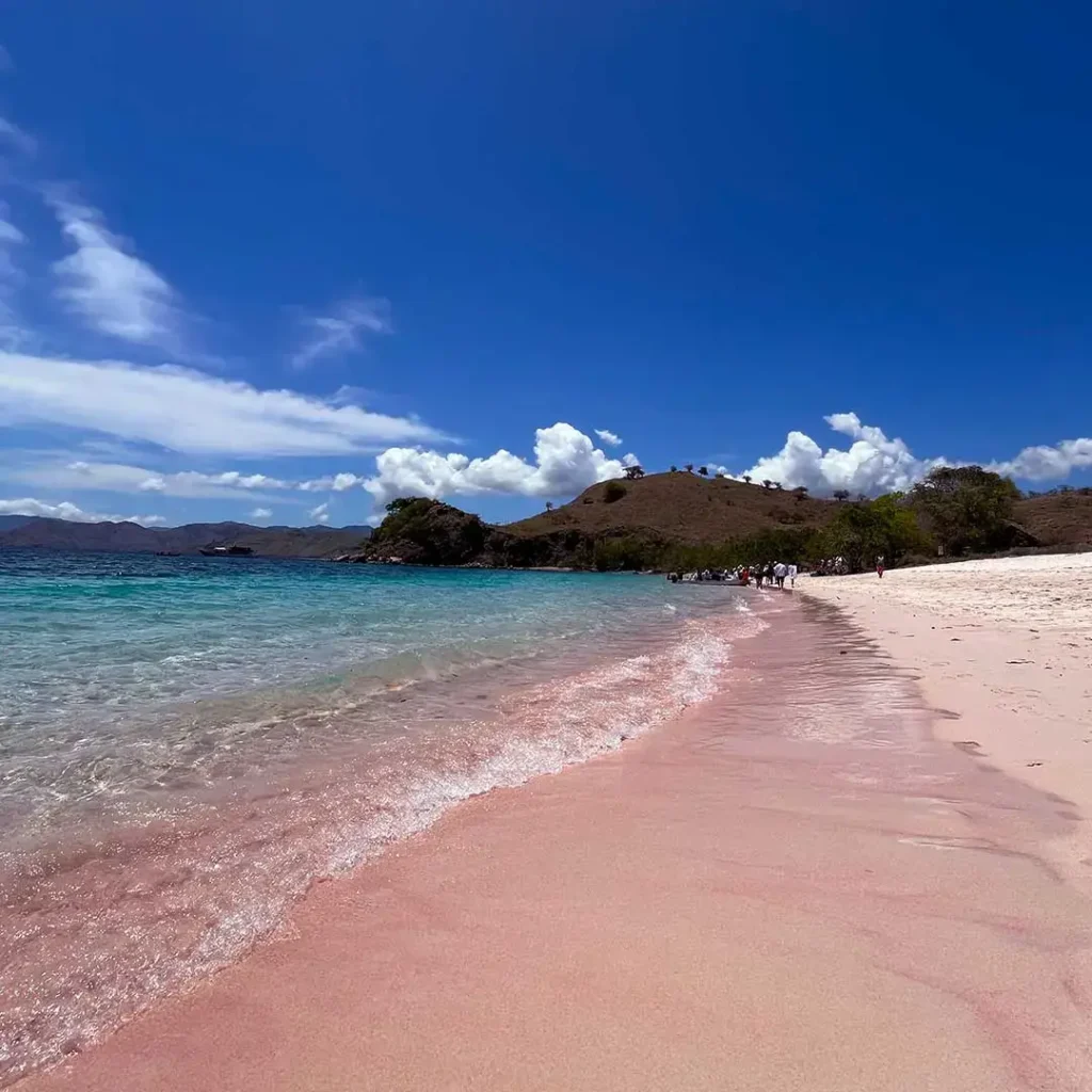Komodo Tour From Bali: Tour Guideline for Best Experience