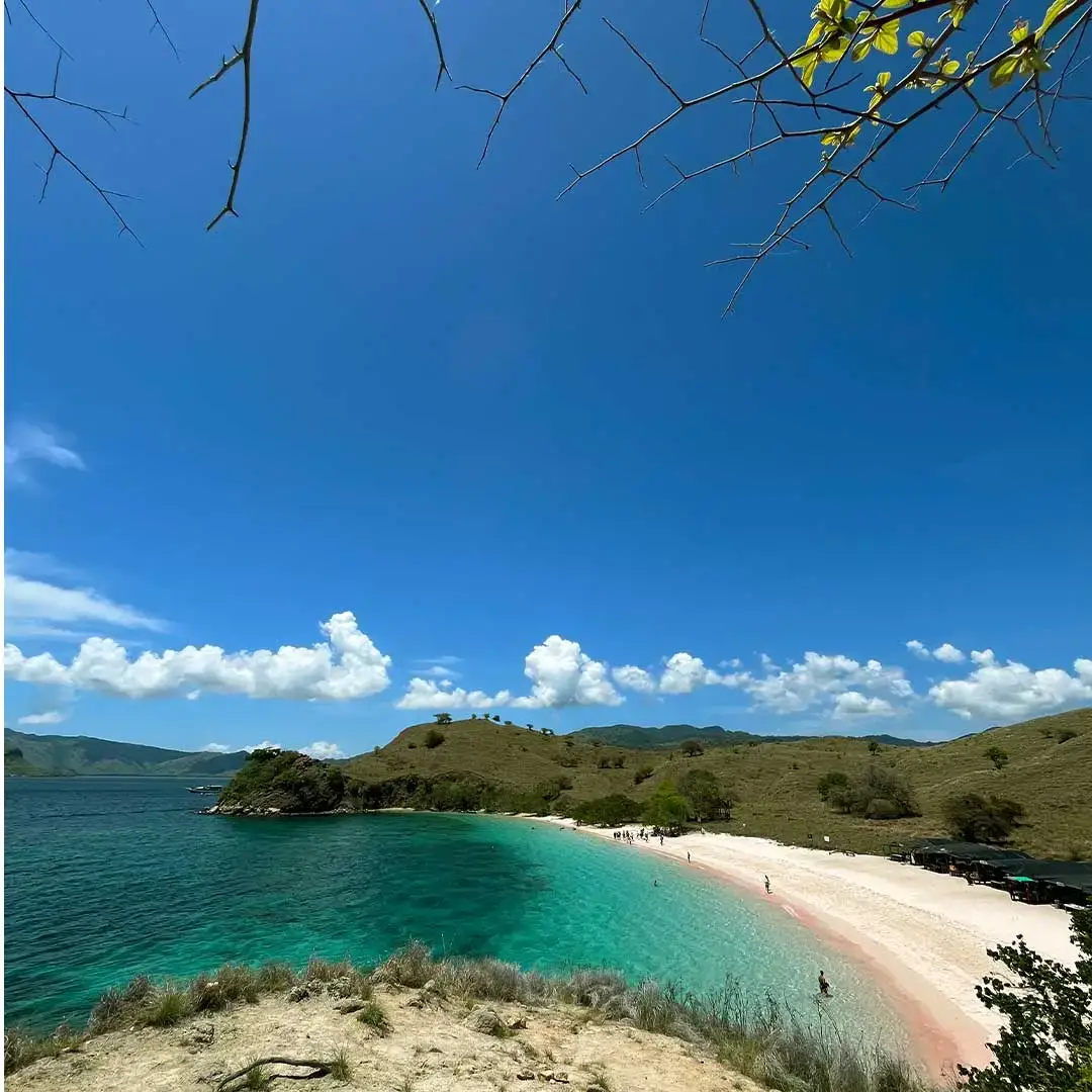Komodo Day Trip: Pink Beach in Komodo
