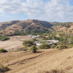 RInca Island - Komodo National Park rinca island tour