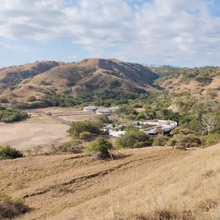 RInca Island - Komodo National Park