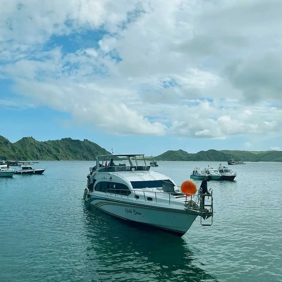 Komodo 1 Day Tour From Labuan Bajo