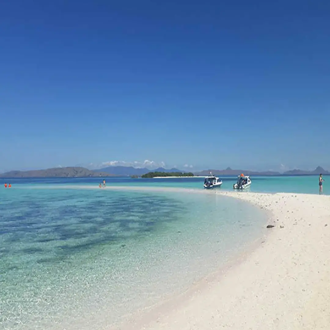 Taka Makassar - Komodo National Park