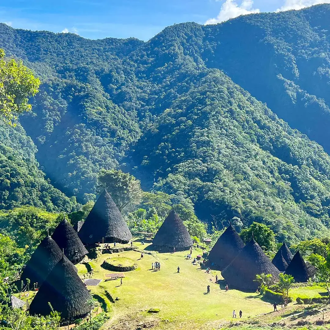 Flores Adventure Tour: Wae Rebo Traditional Village