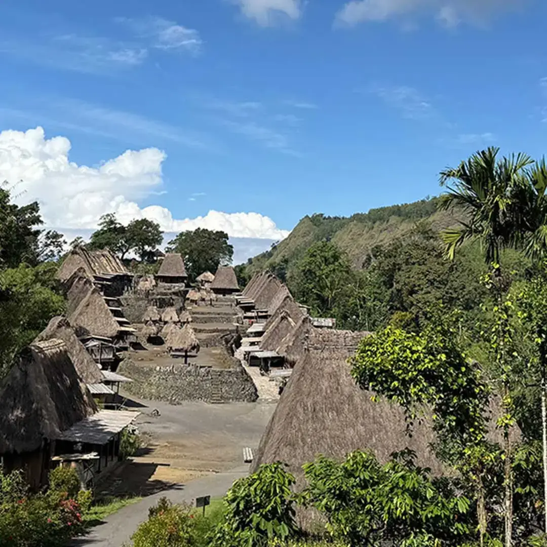 Bena tRaditional Village - Flores Overland Tour