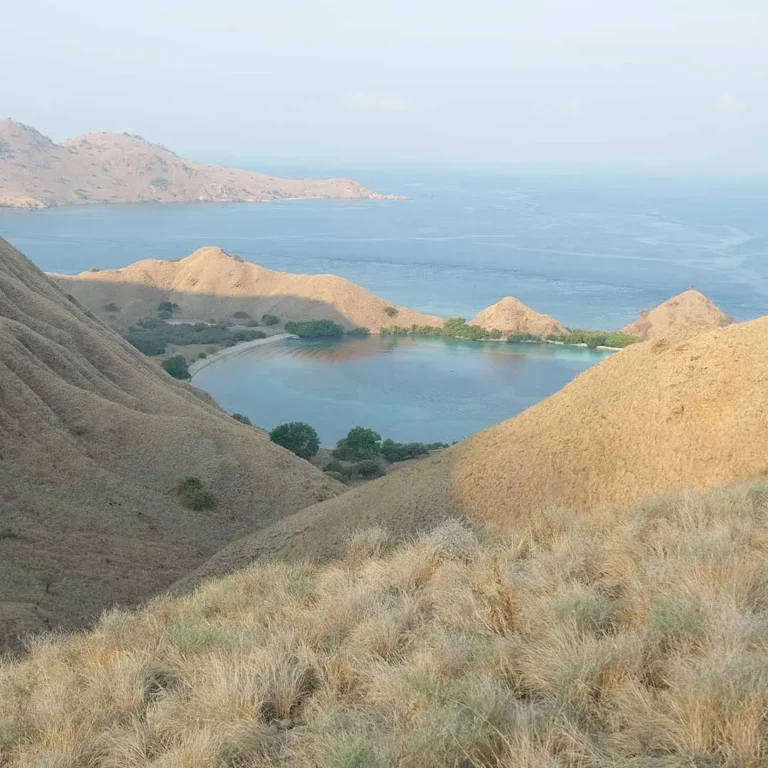 Komodo National Park komodo island tour labuan bajo tour from bali