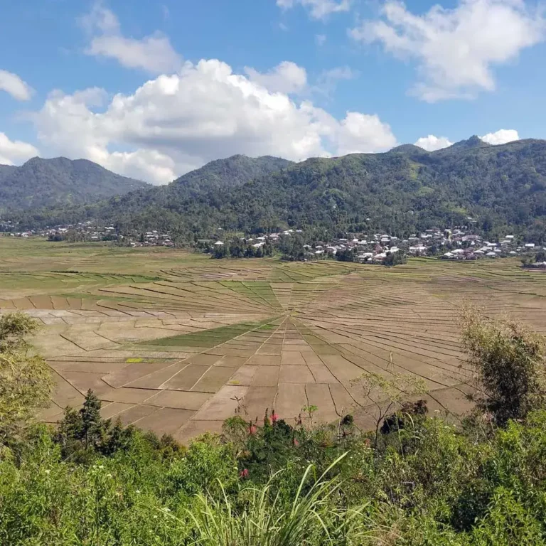 Lingko Cara - Flores Overland Tour