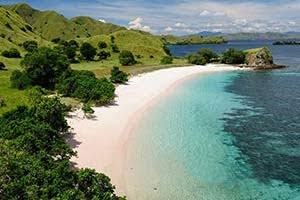8 Elite Komodo Tours & Private Peru Packages