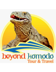 Best Labuan Bajo Tour Guide & Travel Agency Recommendations