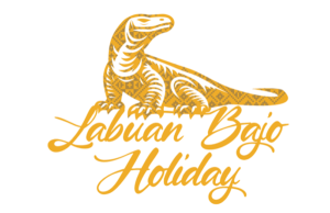 Best Labuan Bajo Tour Guide & Travel Agency Recommendations