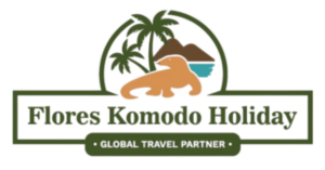 Best Labuan Bajo Tour Guide & Travel Agency Recommendations