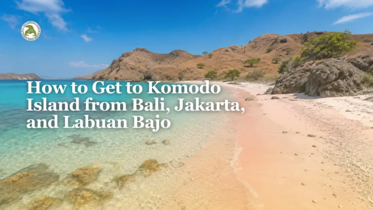 How to get to komodo island from Bali , Jakarta, and Labuan Bajo