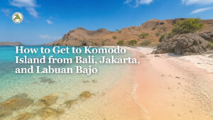 How to Get to Komodo Island from Bali, Jakarta, and Labuan Bajo?