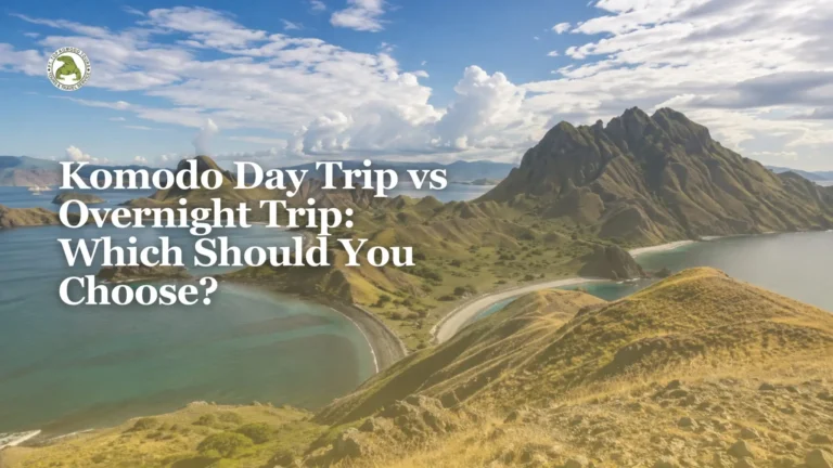 Komodo day trip & overnight trip; which should you choose