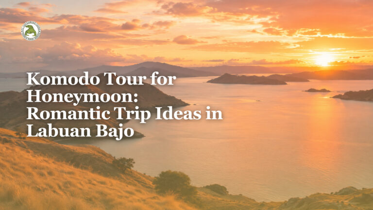Komodo Tour for Honeymoon: Romantic Trip Ideas in Labuan Bajo