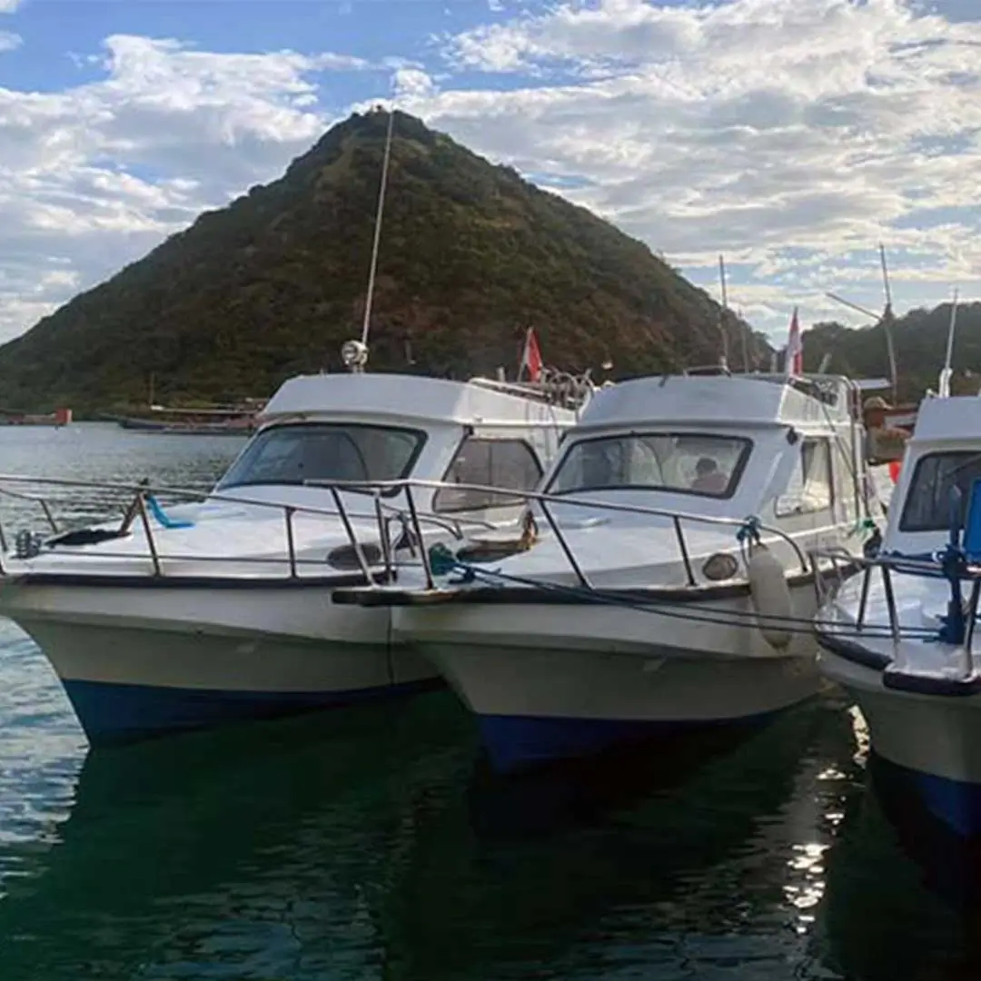 Private speedboat tour