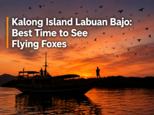 Kalong Island Labuan Bajo: Best Time to See Flying Foxes