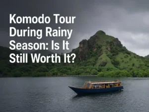 Komodo-Tour-During-Rainy-Season-Is-It-Still-Worth-It