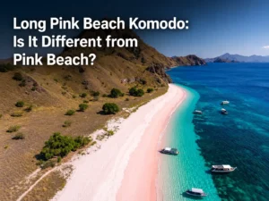 Long Pink Beach Komodo: Is it different from pink beach