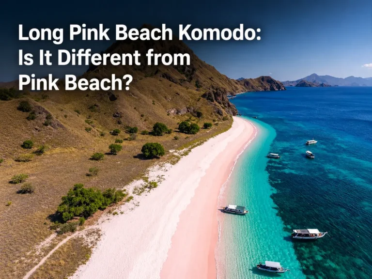 Long Pink Beach Komodo: Is it different from pink beach