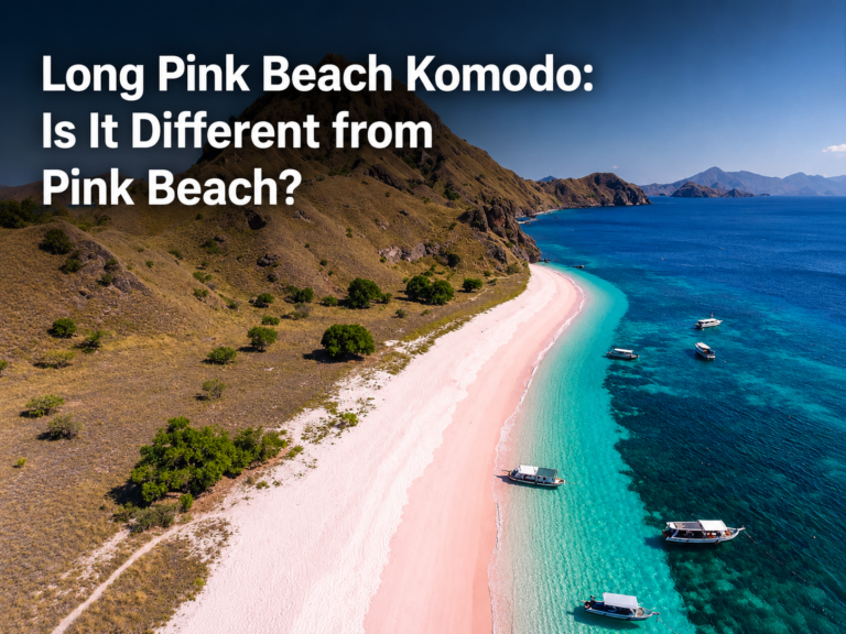 Long Pink Beach Komodo: Is It Different from Pink Beach?