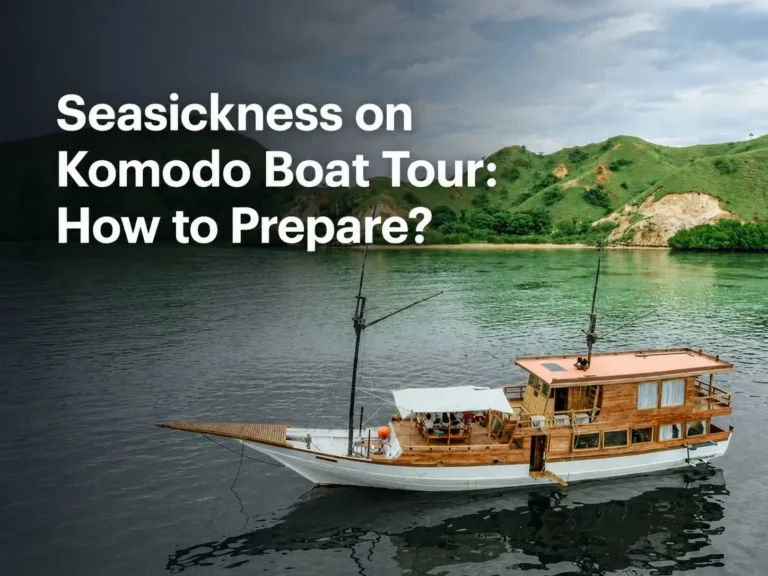Seasickness on Komodo Boat Tour: How to Prepare?
