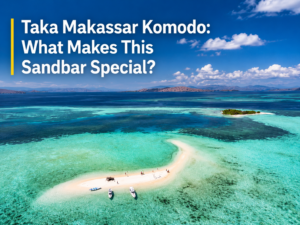 Taka Makassar Komodo: What Makes This Sandbar Special?