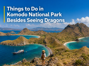 Things to Do in Komodo National Park Besides Seeing Dragons