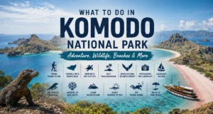 Things to Do in Komodo National Park Besides Seeing Dragons