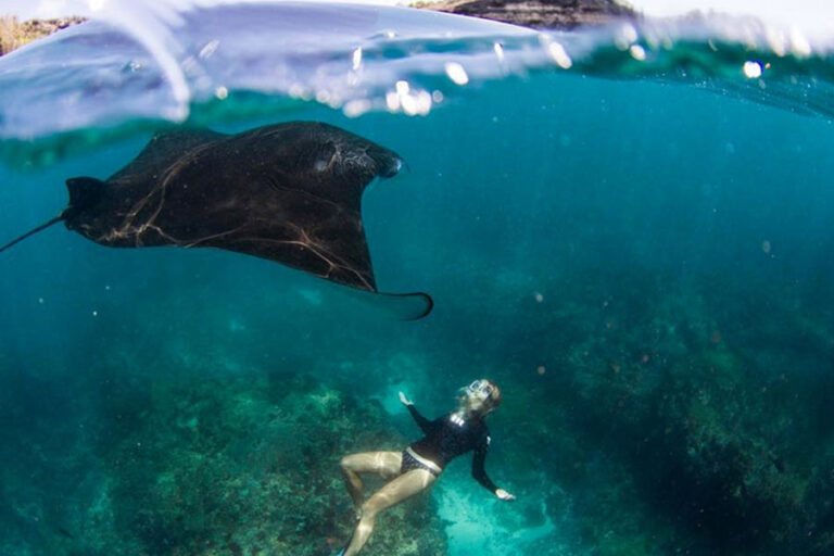 Best Time to See Manta Rays in Komodo National Park